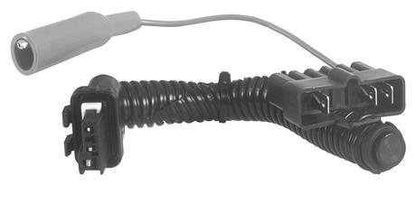 Test Lead